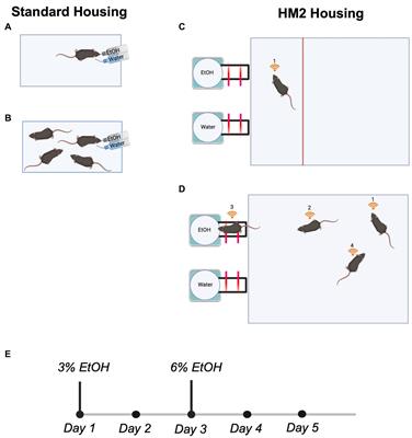 Effects of social housing on alcohol intake in mice depend on the non-social environment